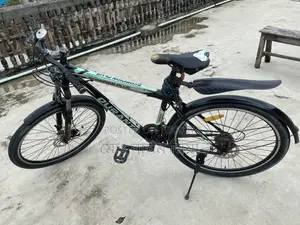 দুরন্ত বাইসাইকেল