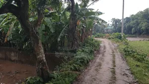 6 Decimal Land for Sale | Total Price