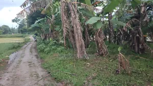 6 Decimal Land for Sale | Total Price