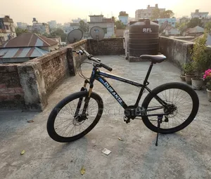 টিয়া পাখি
