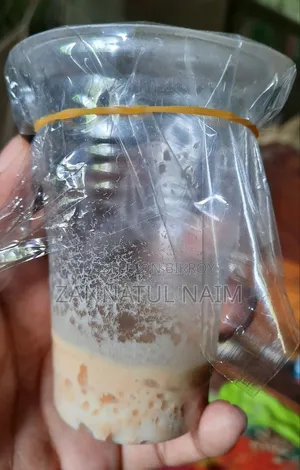 Fish Food Micro Worm