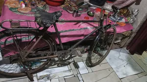 Japanese Bicycle