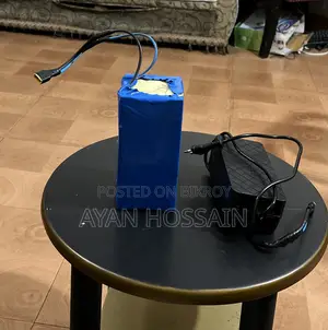 Electric Cycle Lithium Phosphate Battery With Charger
