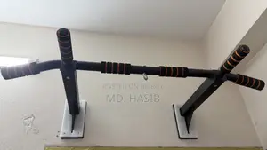 Wall Mounted Pull Up Bar