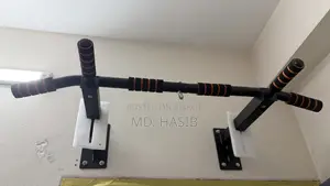 Wall Mounted Pull Up Bar