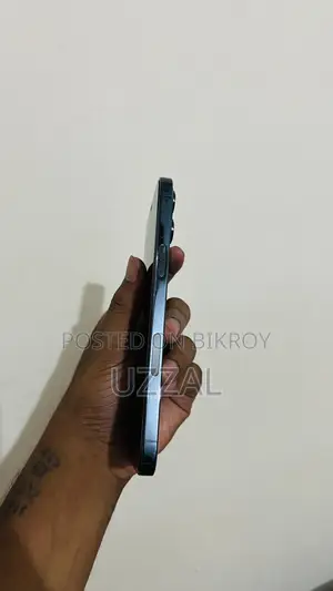 অ্যাপল আইফোন ১২ প্রো ম্যাক্স ২৫৬ জিবি ব্লু