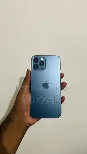 অ্যাপল আইফোন ১২ প্রো ম্যাক্স ২৫৬ জিবি ব্লু