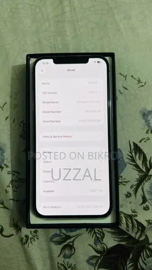 অ্যাপল আইফোন ১২ প্রো ম্যাক্স ২৫৬ জিবি ব্লু