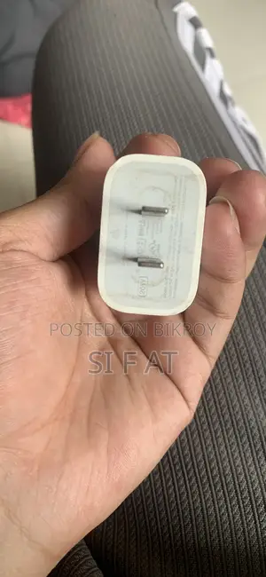 Apple Charger