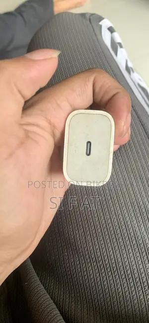 Apple Charger