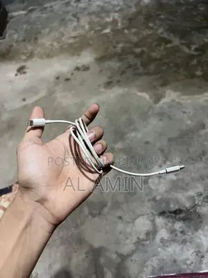 Apple Charger