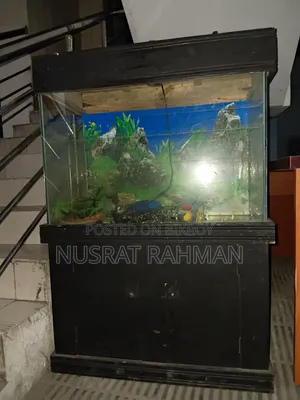 Fish Aquarium