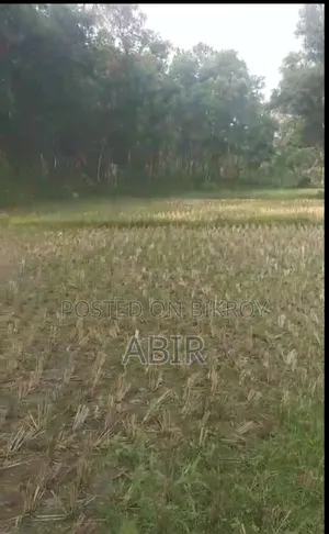 জমিটি জরুরি বিক্রি করা হবে!!!