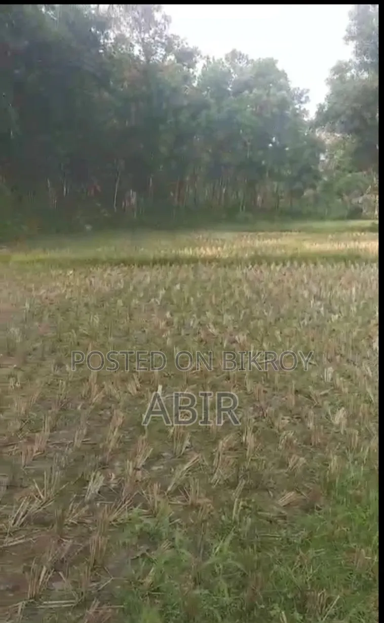 জমিটি জরুরি বিক্রি করা হবে!!!