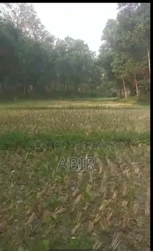 জমিটি জরুরি বিক্রি করা হবে!!!