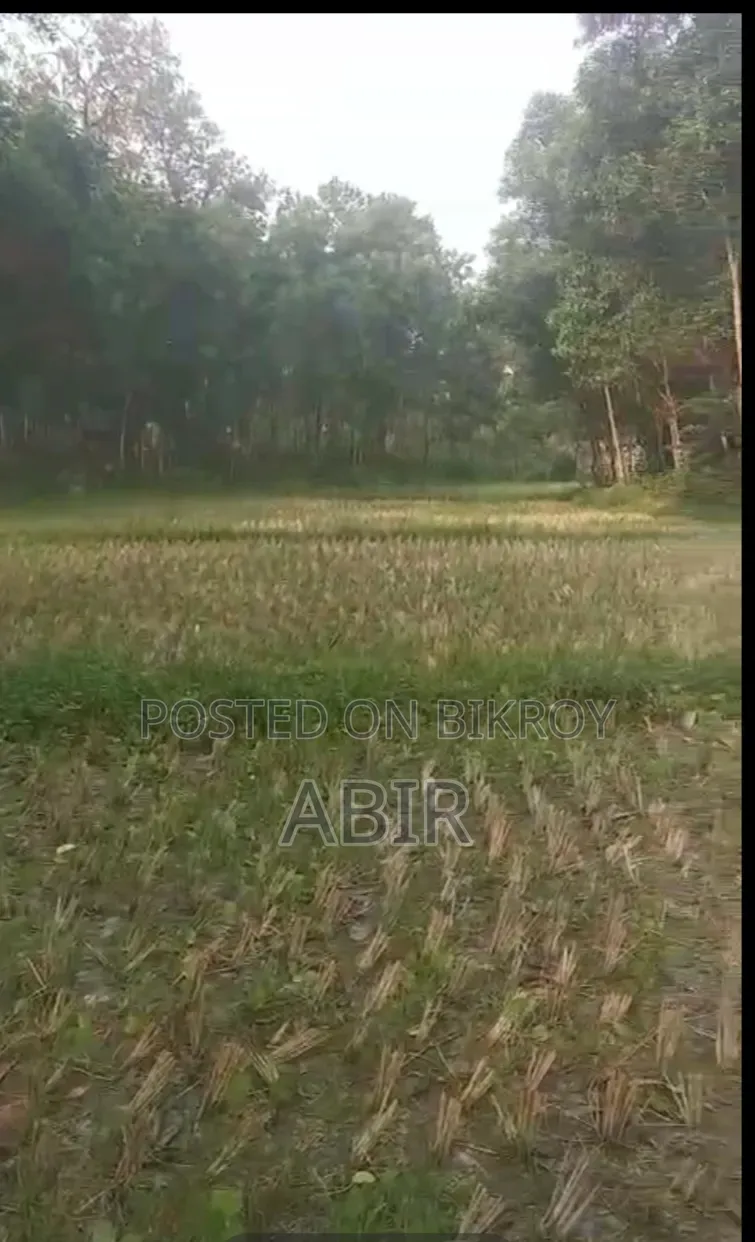 জমিটি জরুরি বিক্রি করা হবে!!!