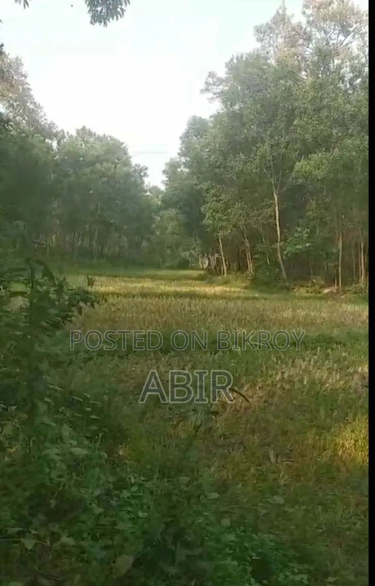 জমিটি জরুরি বিক্রি করা হবে!!!