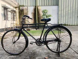 ফনিক্স সাইকেল