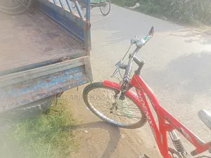 ফিনিক্স রেড