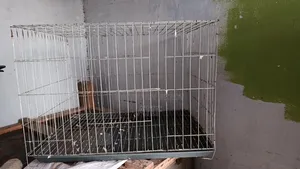 খাঁচা বিক্রির জন্য
