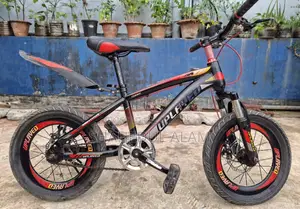 Kids Bicycle