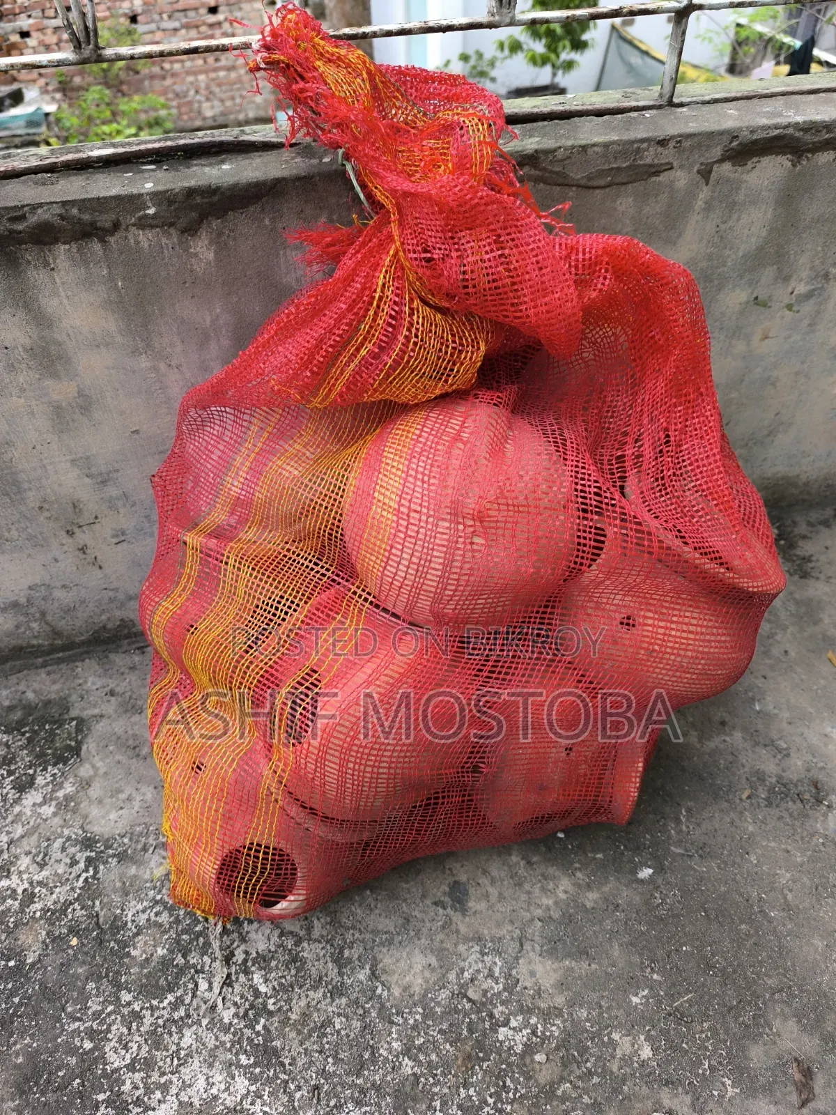 Clay pots for Lovebirds, Java, Budgerigar birds (with lid)