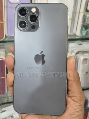 অ্যাপল আইফোন ১২ প্রো ম্যাক্স ২৫৬ জিবি ব্লু