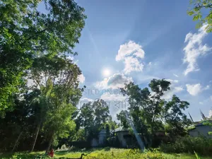 জমি বিক্রি