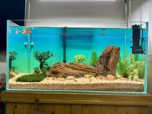 Planted Aquarium Full Setup 30 Inches-15/15