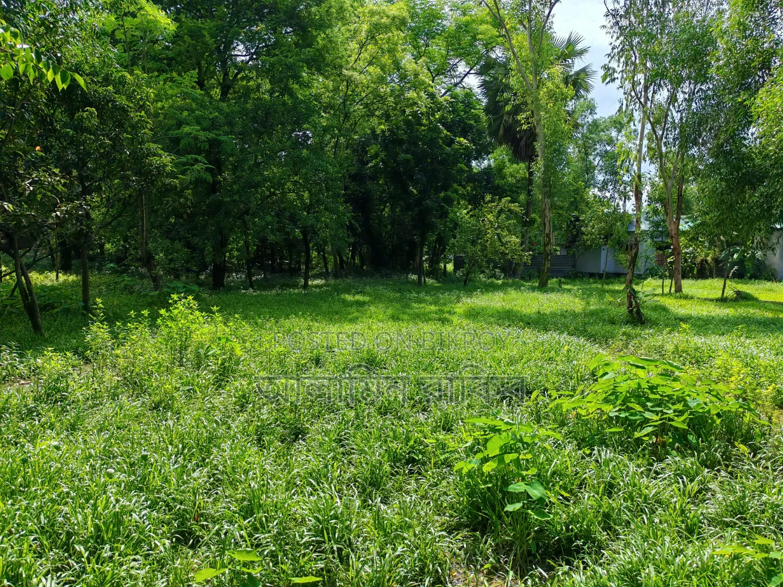 Land Sale