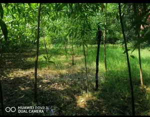 প্লট সarikait, সন্দ্বীপ, চট্টগ্রাম