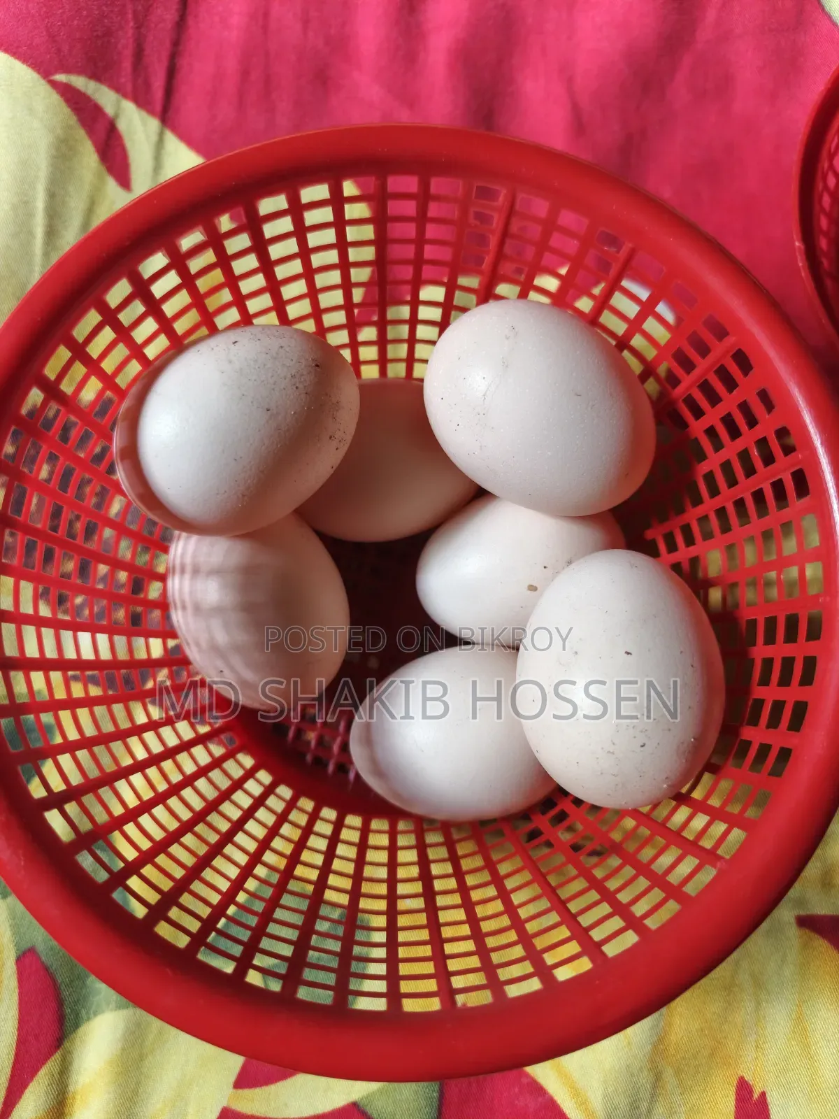 বাফ ব্রাহমা মুরগীর বিজ ডিম