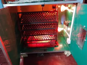 Auto incubator for sale, completely good, selling because of needing money