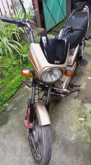 TVS XL 100 কমফোর্ট ২০২২ গোল্ড