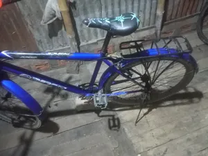 Prince Cycle