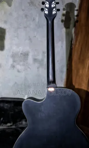 Signature 265 Guitar