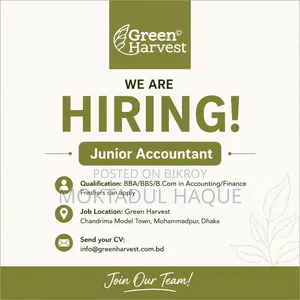 Junior Accountant