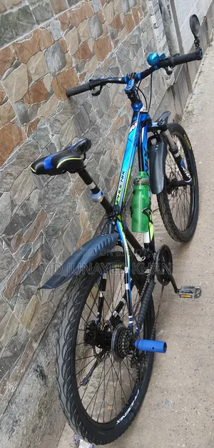 সাইকেল ফর সেল ফিনিক্স সাইকেল