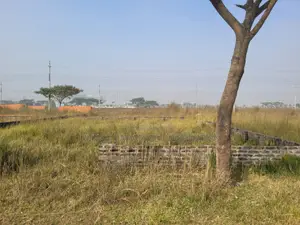Block P || North Face || Serial 5300 || Urgent Sale Plot