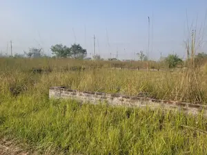 ব্লক পি || উত্তরমুখী || সিরিয়াল ৫৩০০ || জরুরি বিক্রয়ের প্লট