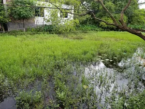 Residential Land