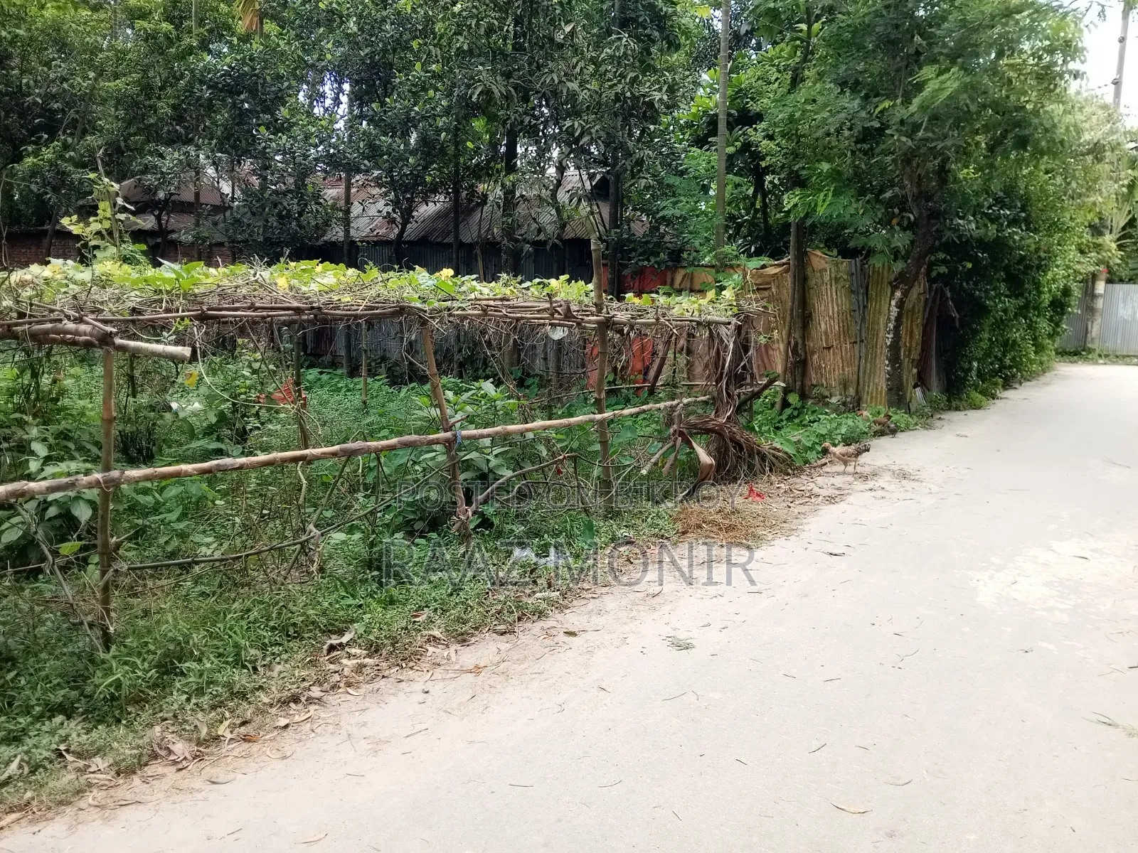 11 Katha Land for Sale Per Katha