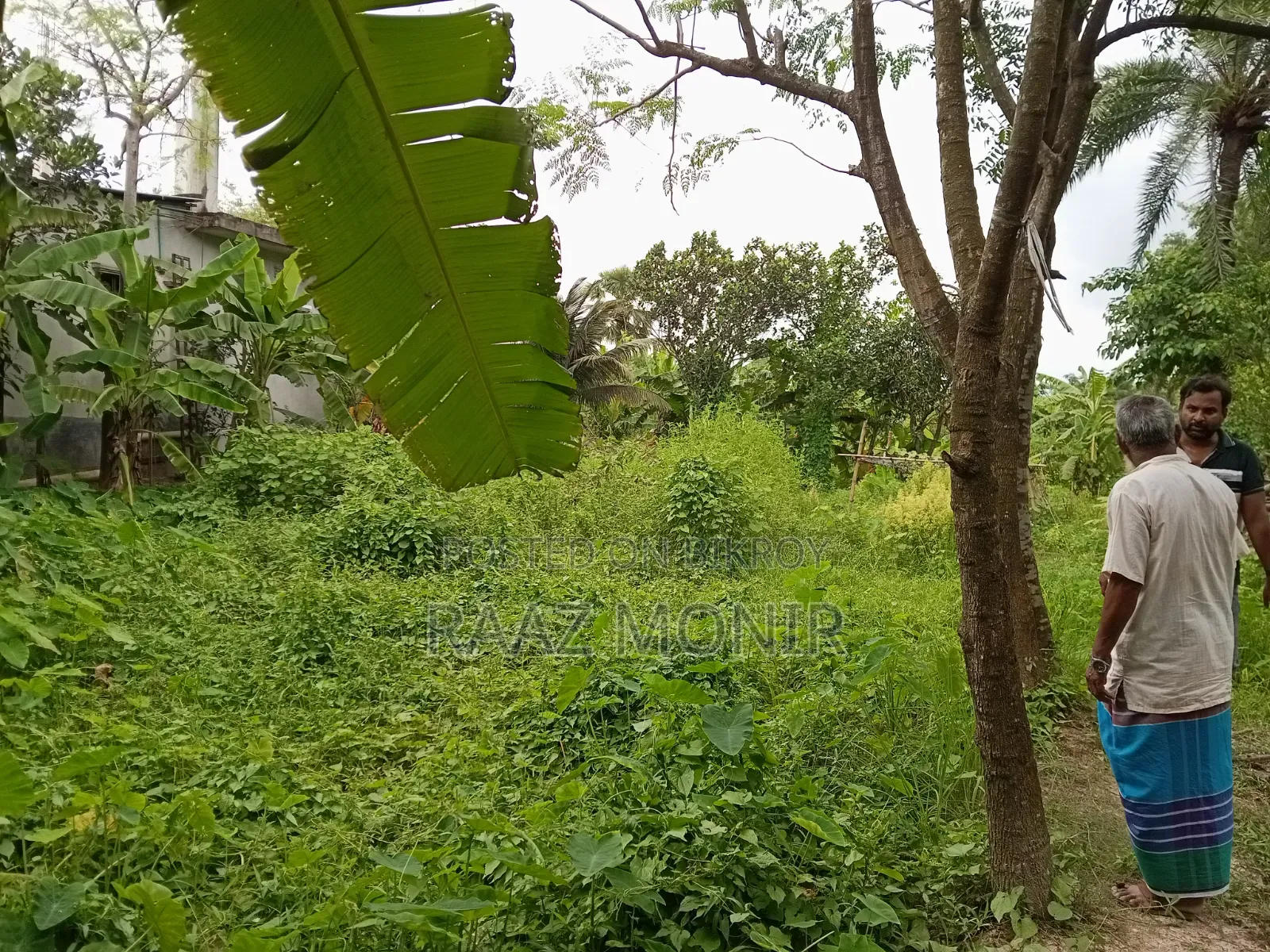 11 Katha Land for Sale Per Katha