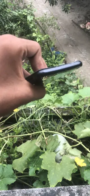 হনার ৯ লাইট ৬৪ জিবি ব্ল্যাক