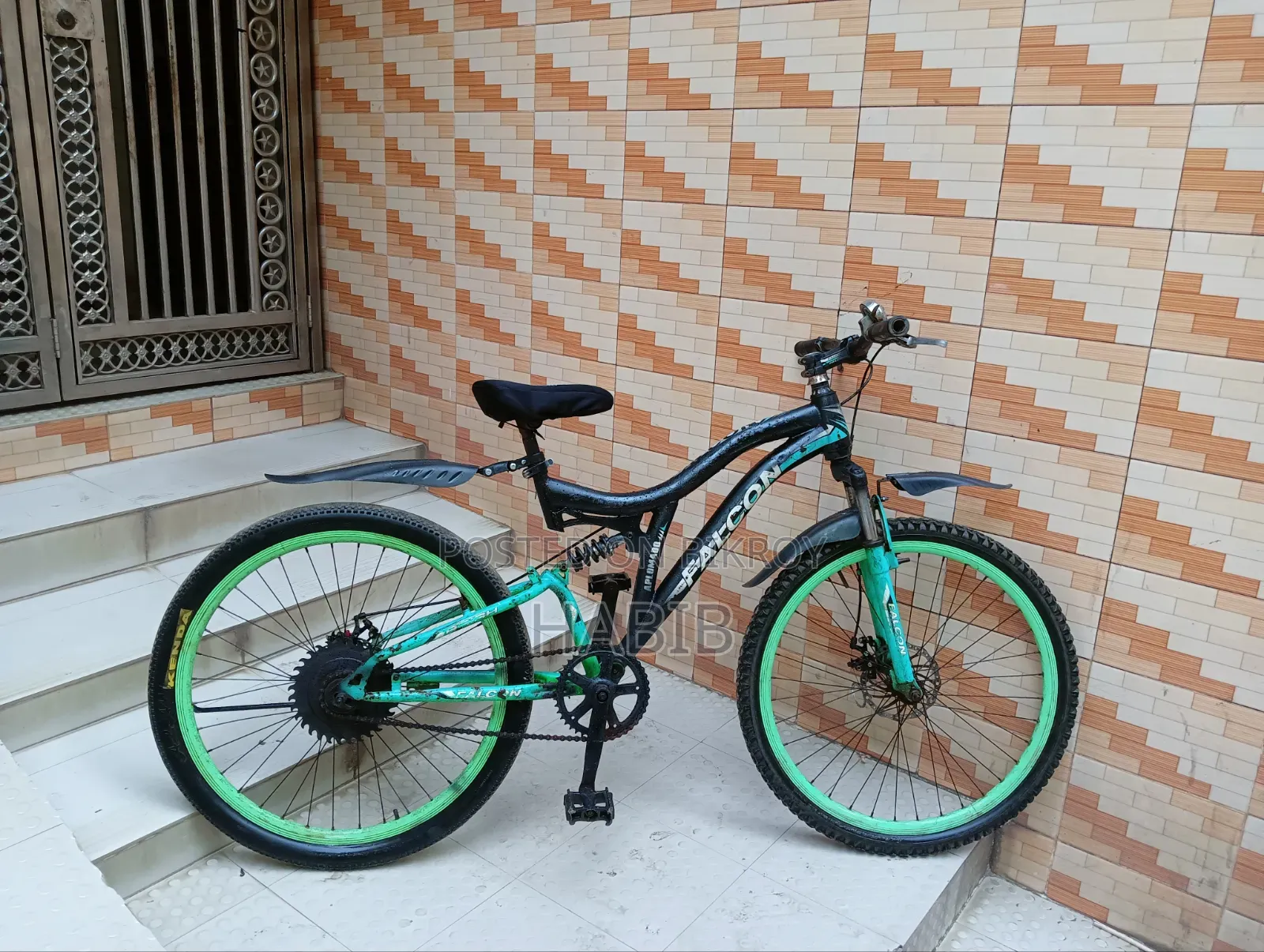 Falcon Cycle