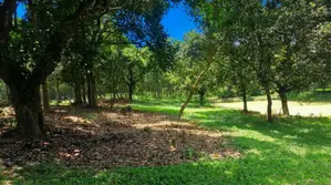 স্বপ্নের রিসোর্ট, ফার্মহাউস বা নিজের শান্তির ঠিকানা হতে পারে এই জমিটি