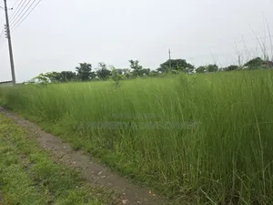 5 Katha || South Facing || N-Extension Plot Sale