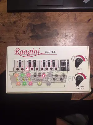 Sound Labs Raagini Digital Electronic Tanpura - Full Set (Urgent Sell)