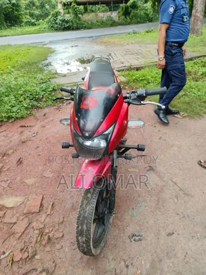 পোলারিস ২০১০ লাল