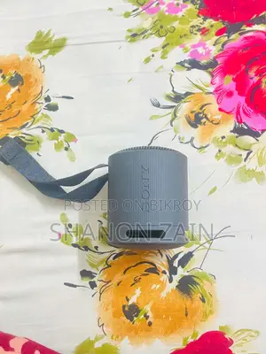 সনি এসআরএস-এক্সবি১০০